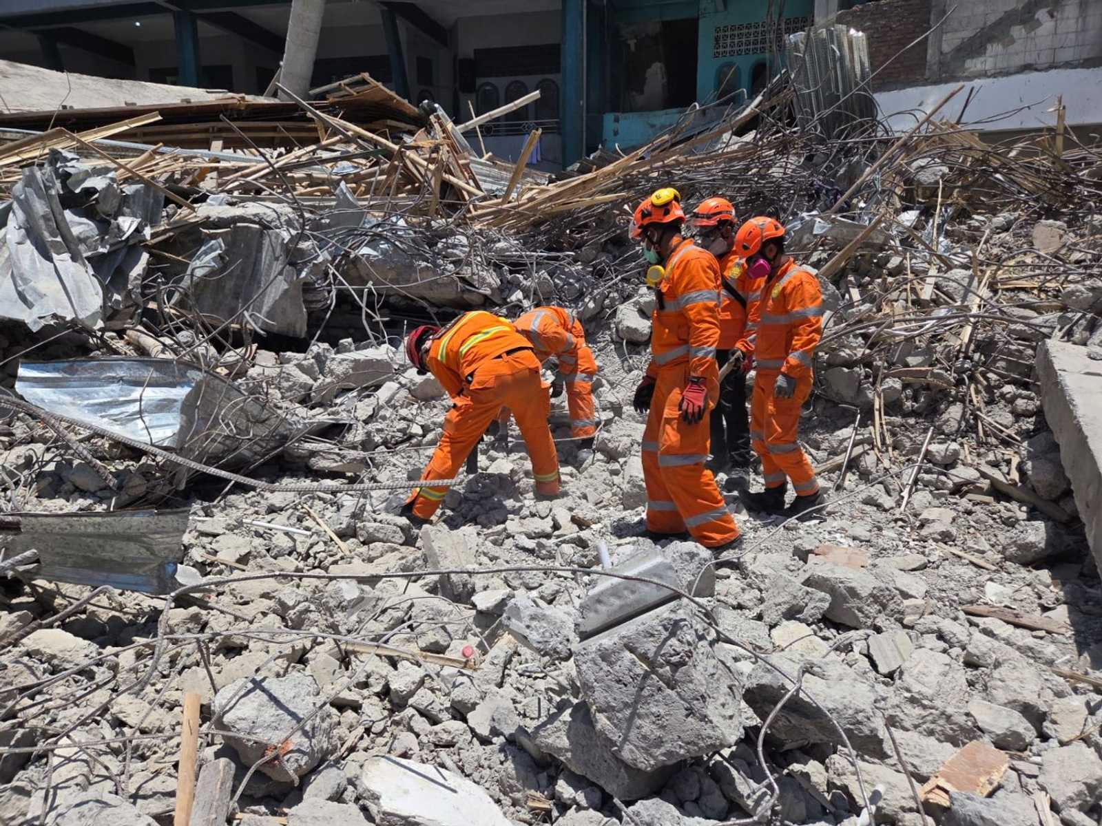 Search image article