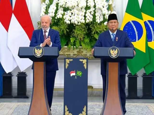 Search image article