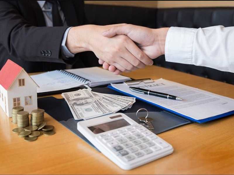 Search image article