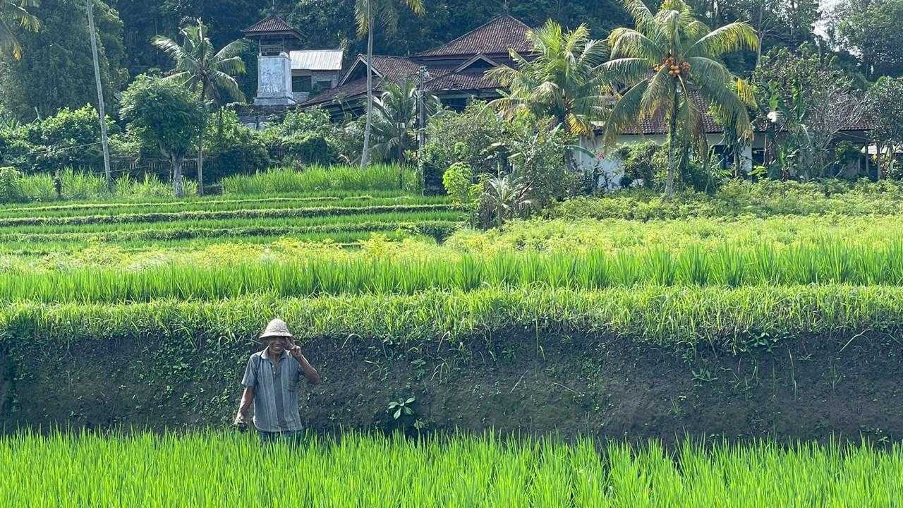 Pupuk Indonesia: Teknologi Pertanian Presisi Kerek Produktivitas 13,5 Persen