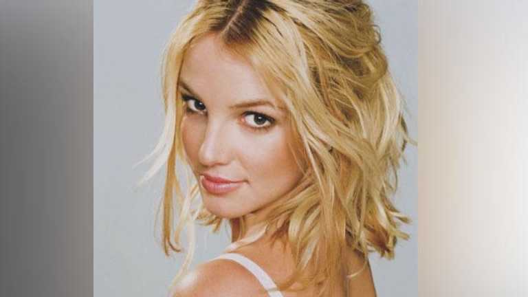 Search image article