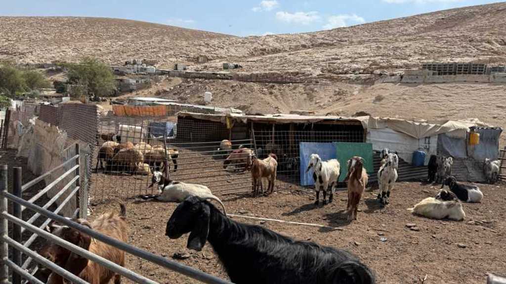 Israel Bangun 3.400 Rumah di E-1, Ribuan Badui Terancam Diusir, Palestina Terpecah Dua