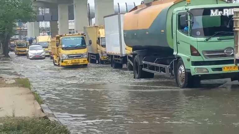 Search image article