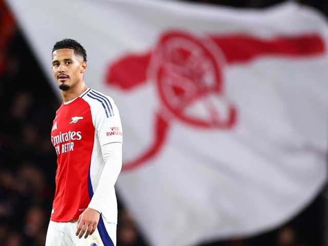 Search image article