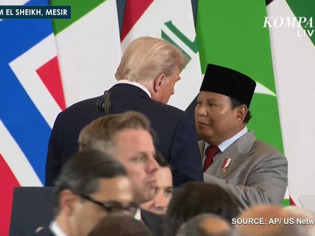 Search image article