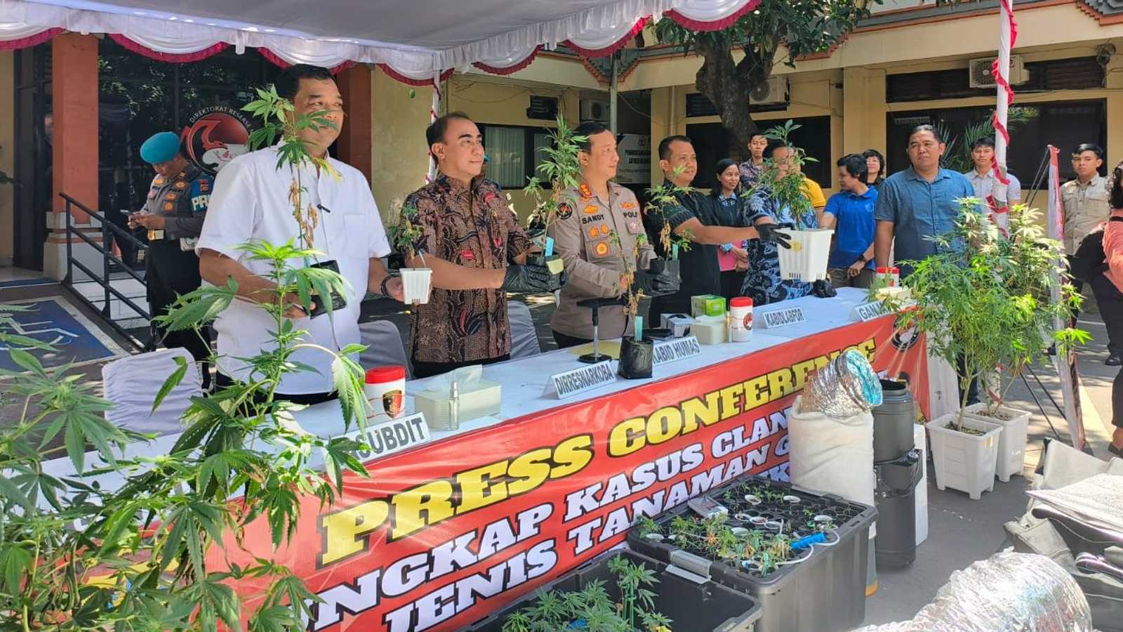 Pasutri WNA Sulap Kontrakan di Denpasar Jadi Kebun Ganja Hidroponik