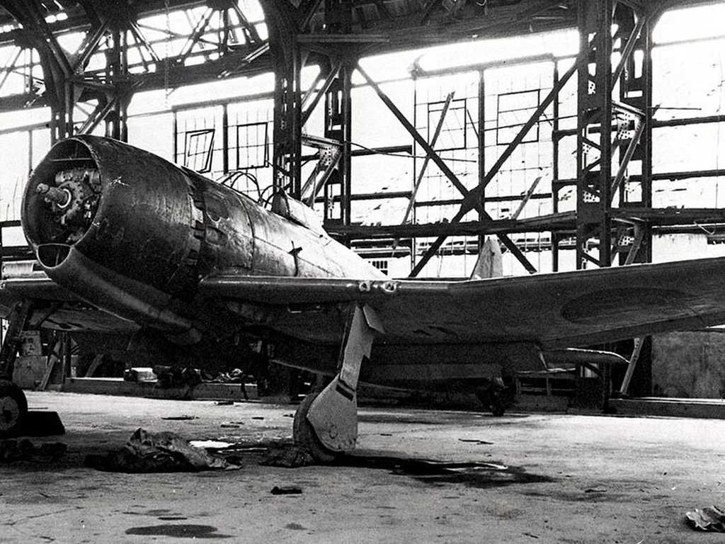 Search image article