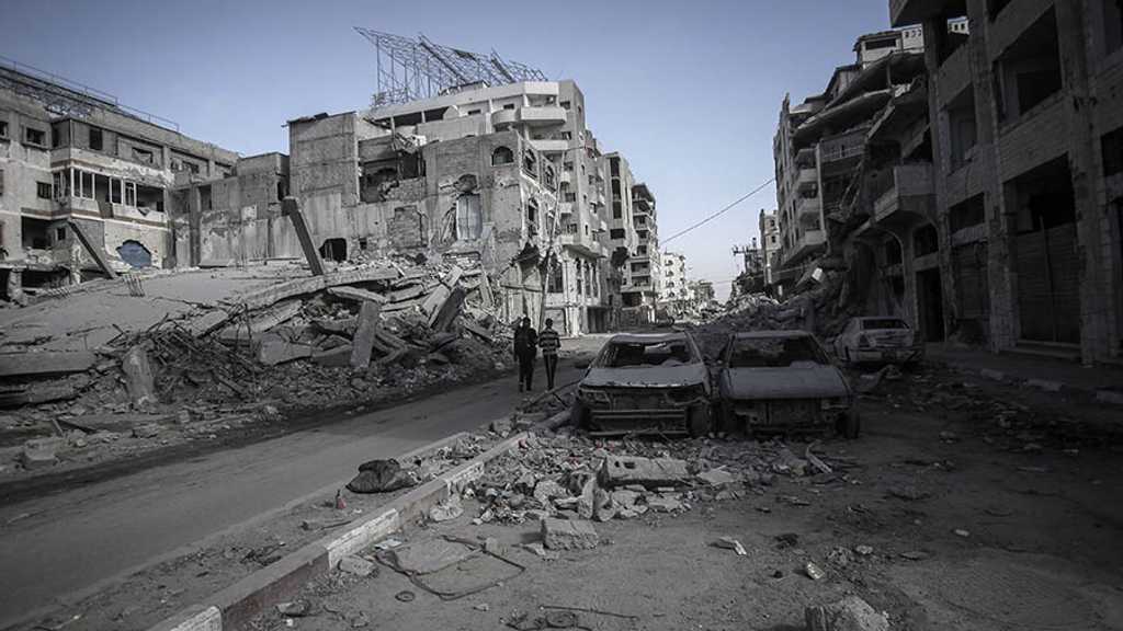 Search image article