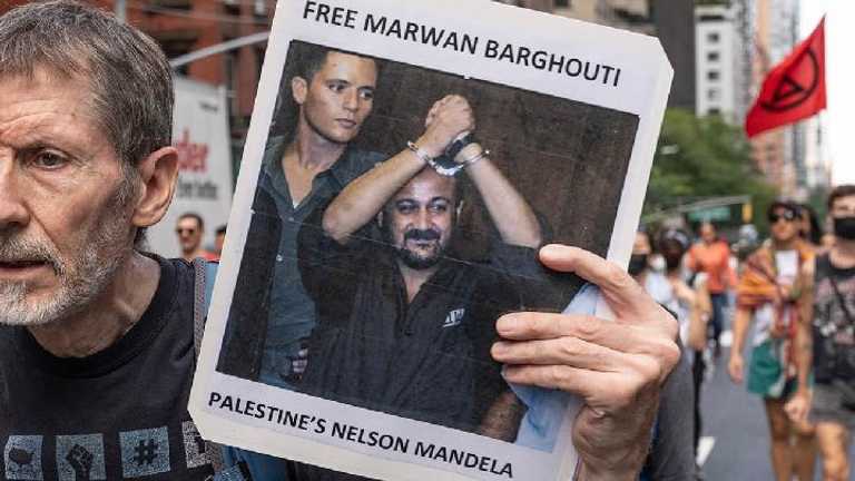 Search image article