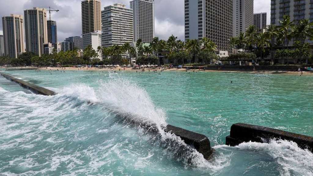 Search image article