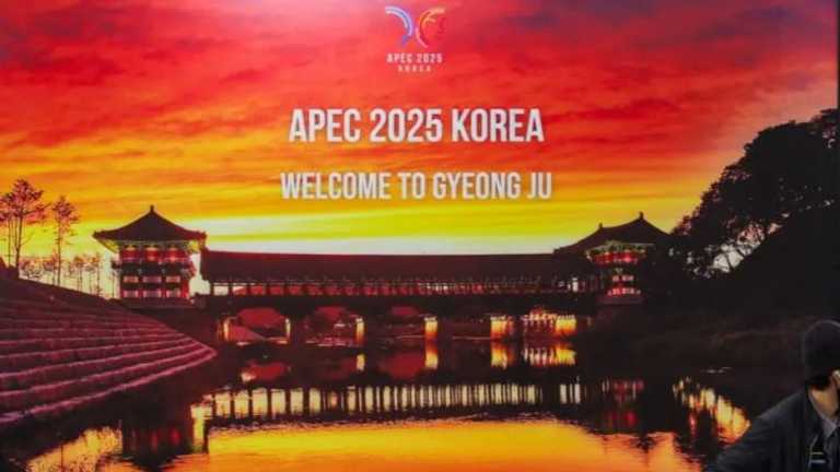 Search image article