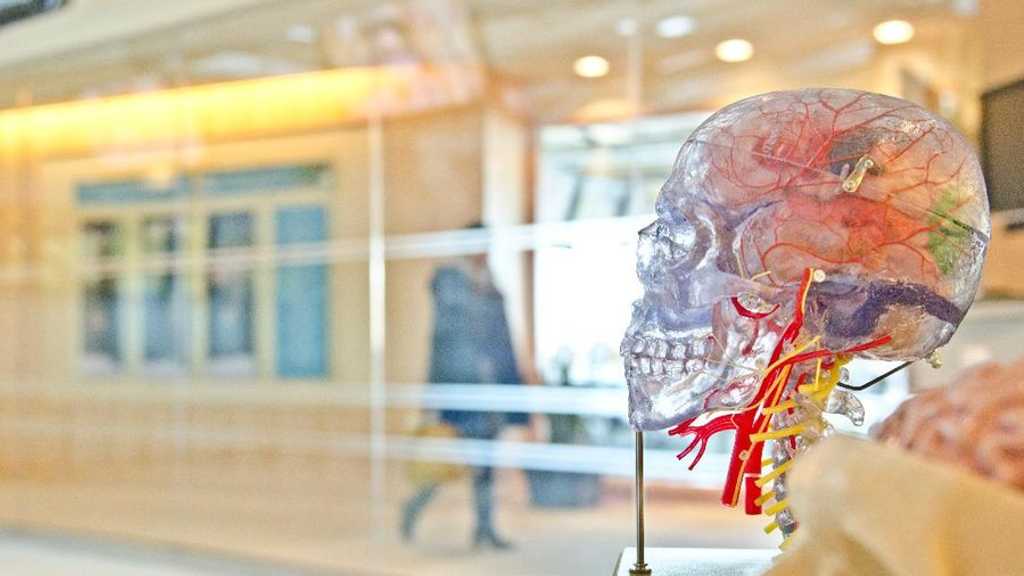 Neuralink Elon Musk: 12 Pasien Kini Terima Implan Otak