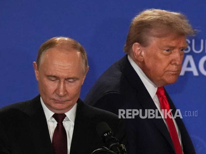 Search image article