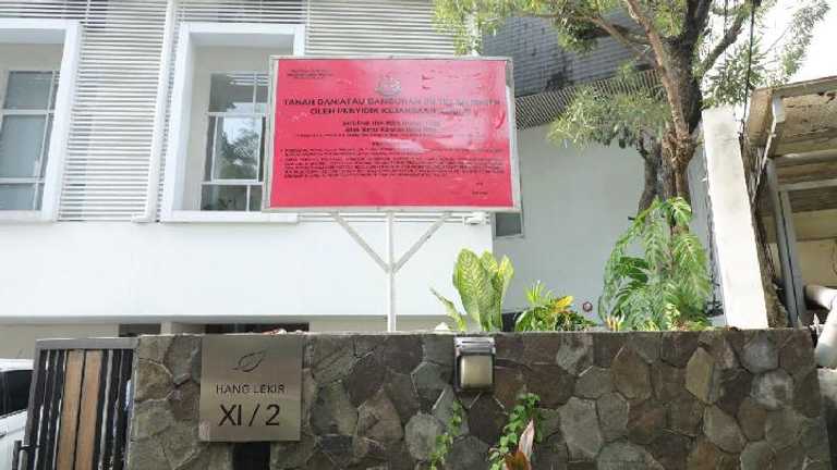 Search image article