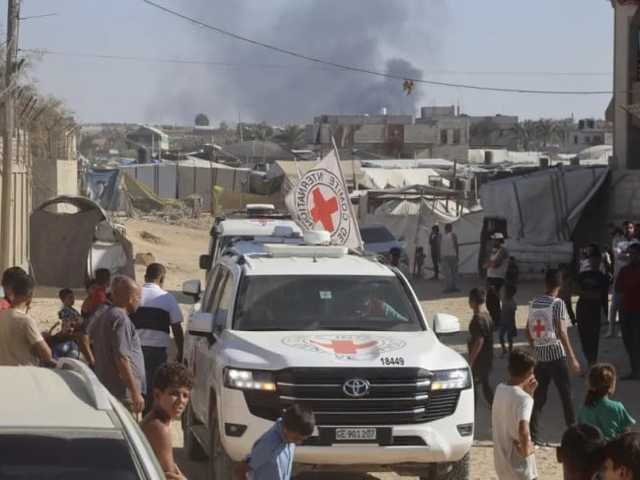 Search image article