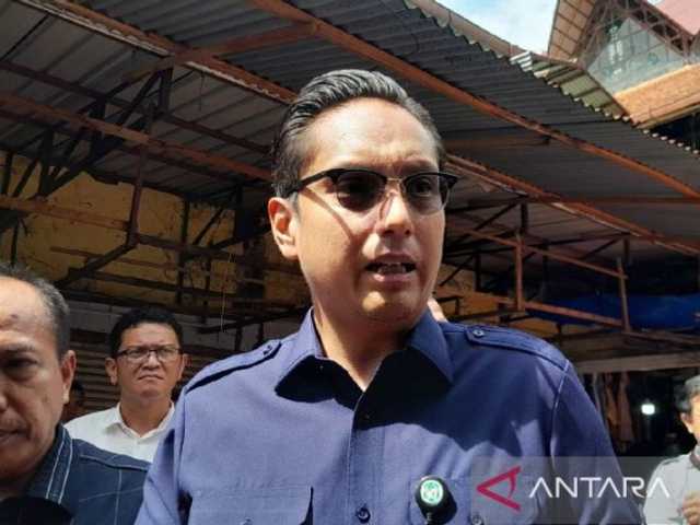 Search image article