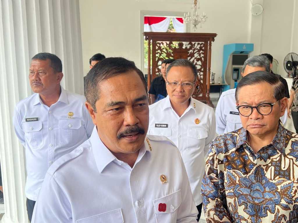 Search image article