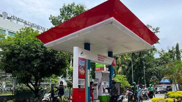 Search image article