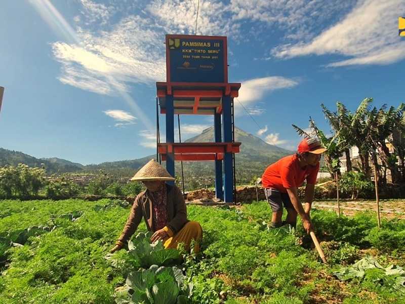 Search image article