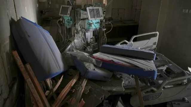 Search image article