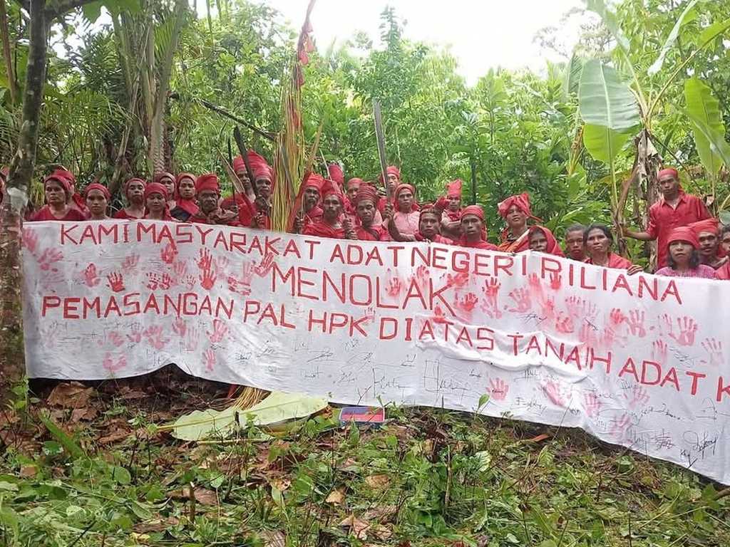 Search image article