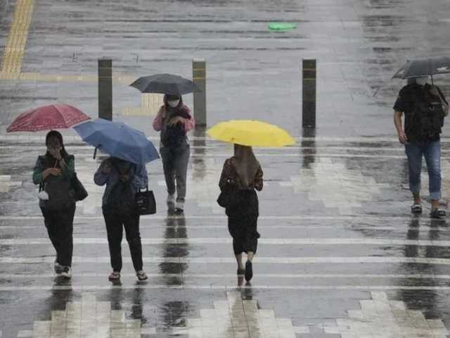 Search image article