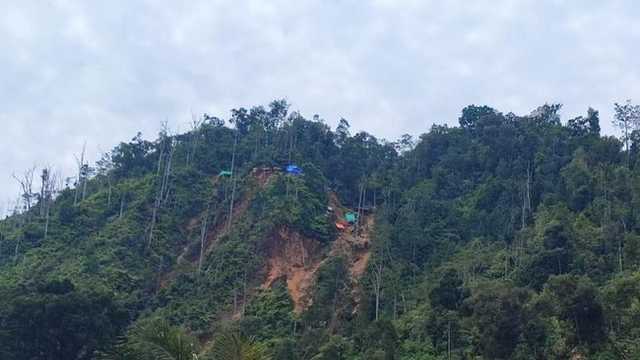 Pemerintah ambil alih 321 hektare lahan tambang ilegal