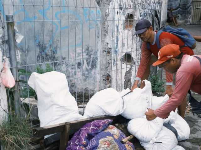 Search image article