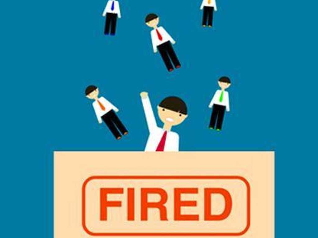 Search image article