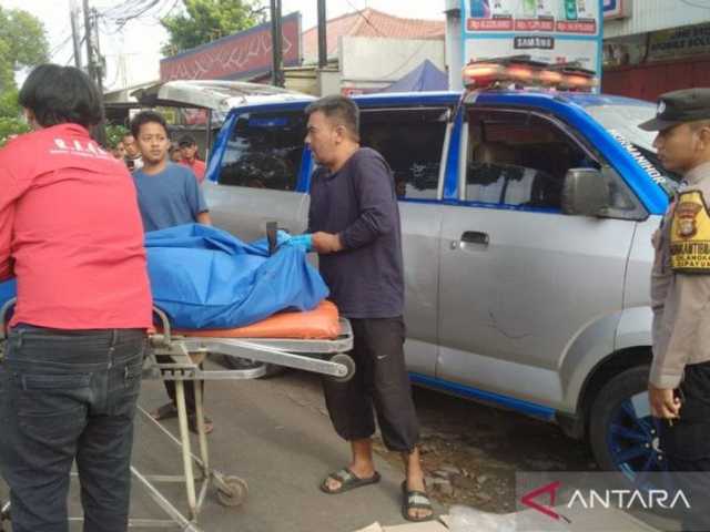 Search image article