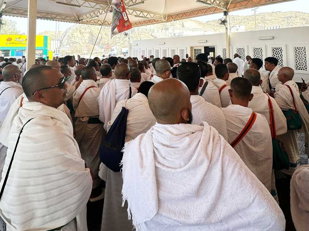 Search image article