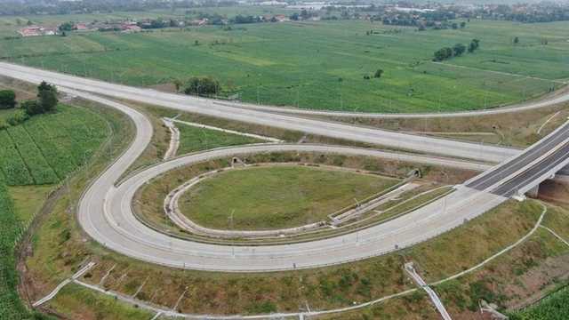 Search image article