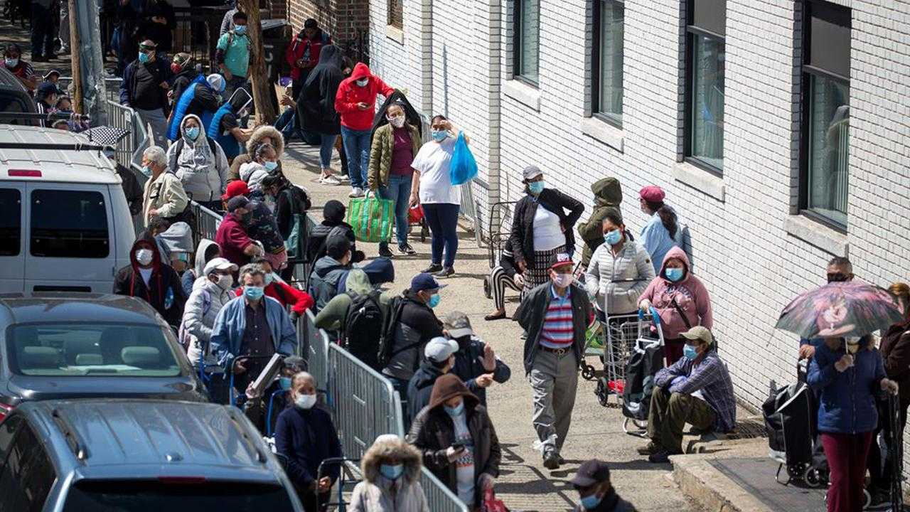 Search image article