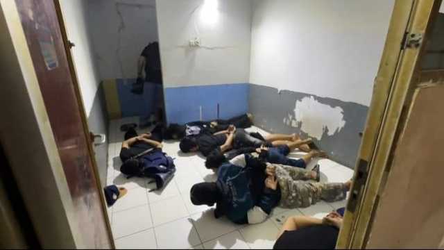 Search image article