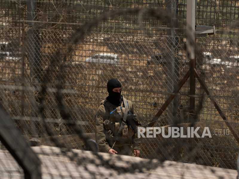 Search image article