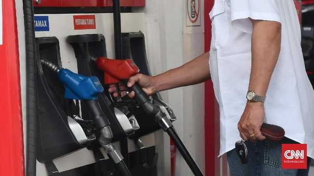 Search image article