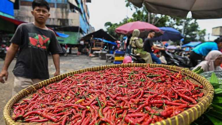 Search image article