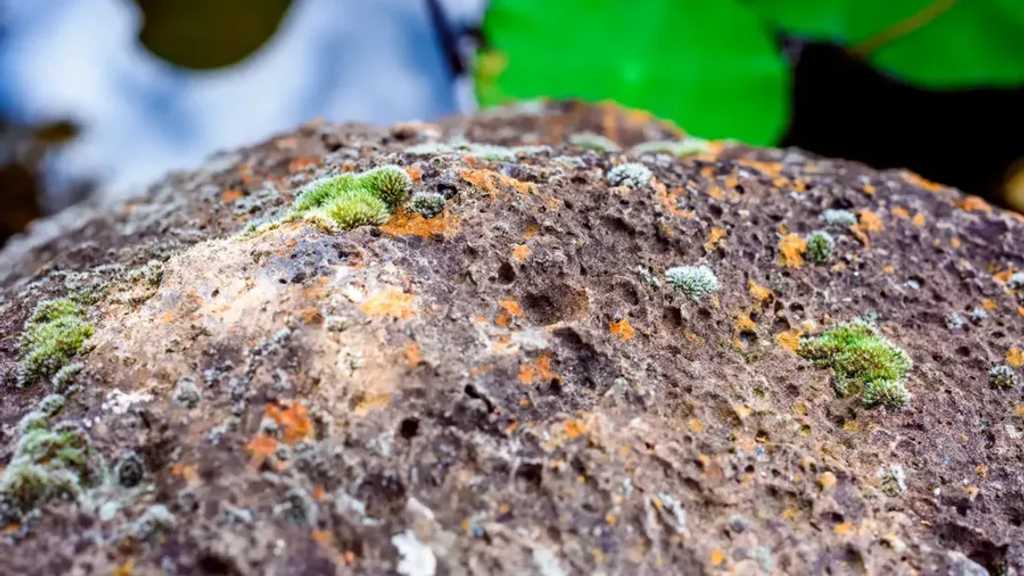 BRIN Genjot Riset Nuklir, Target PLTN Mandiri 2030