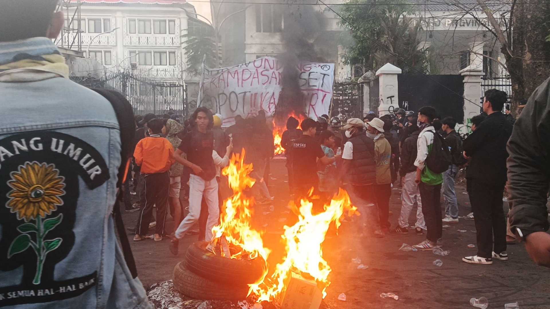 Search image article