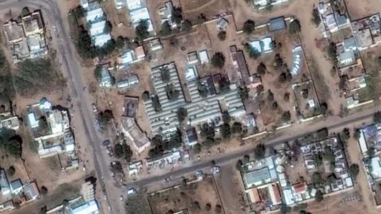 Search image article