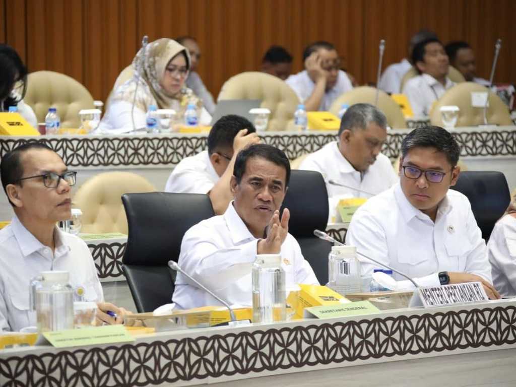 Search image article