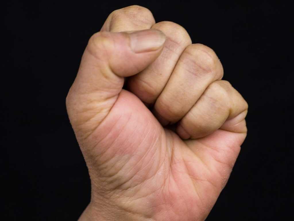 Search image article