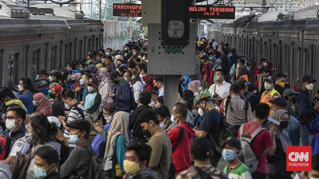 Search image article