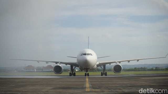 Search image article