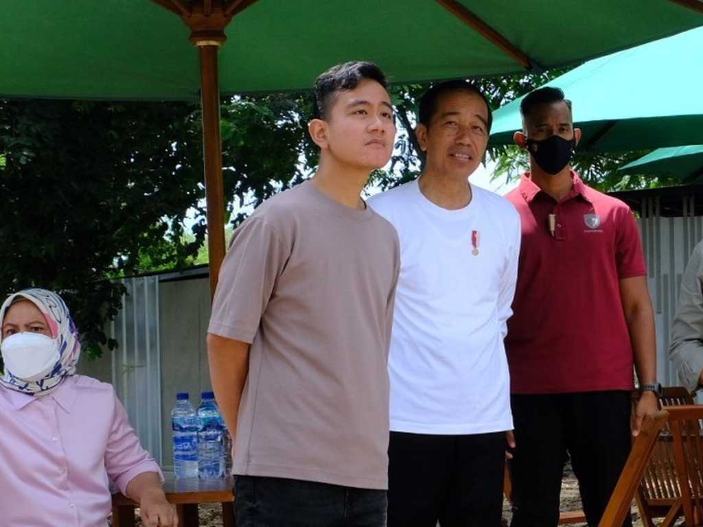 Search image article