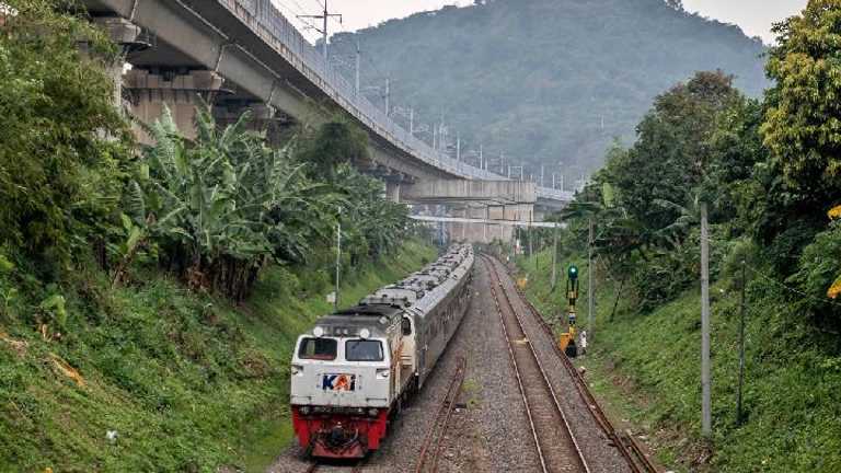 Search image article