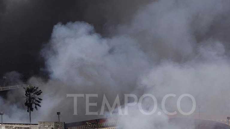 Search image article