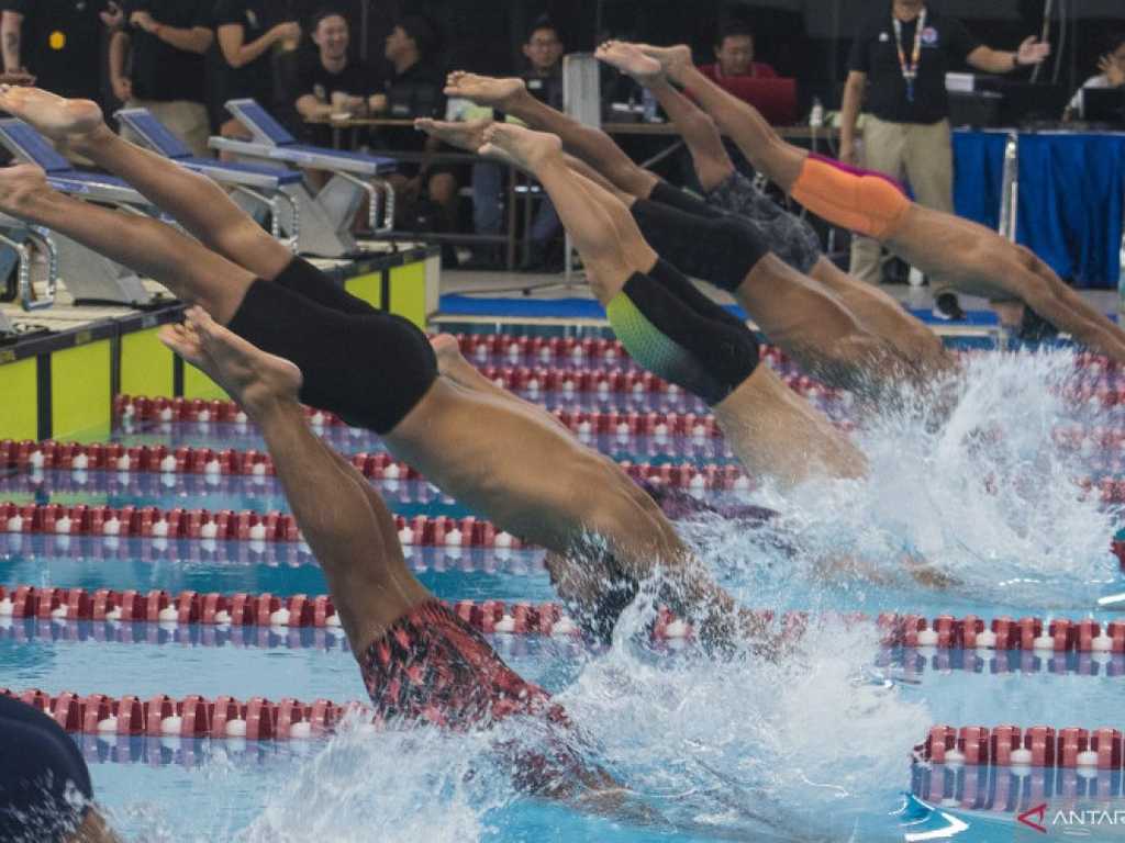 Search image article