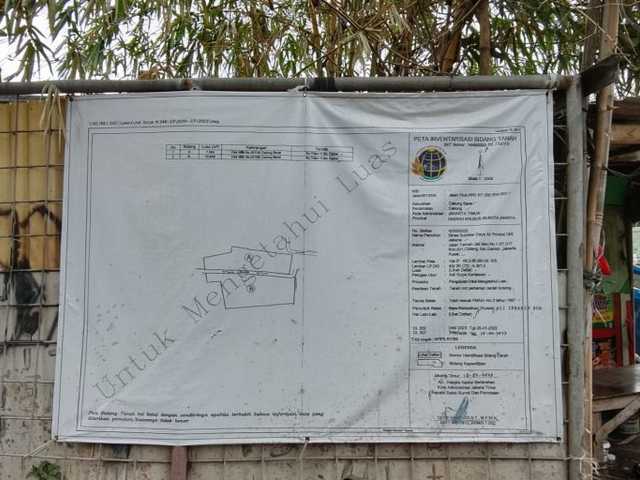 Search image article