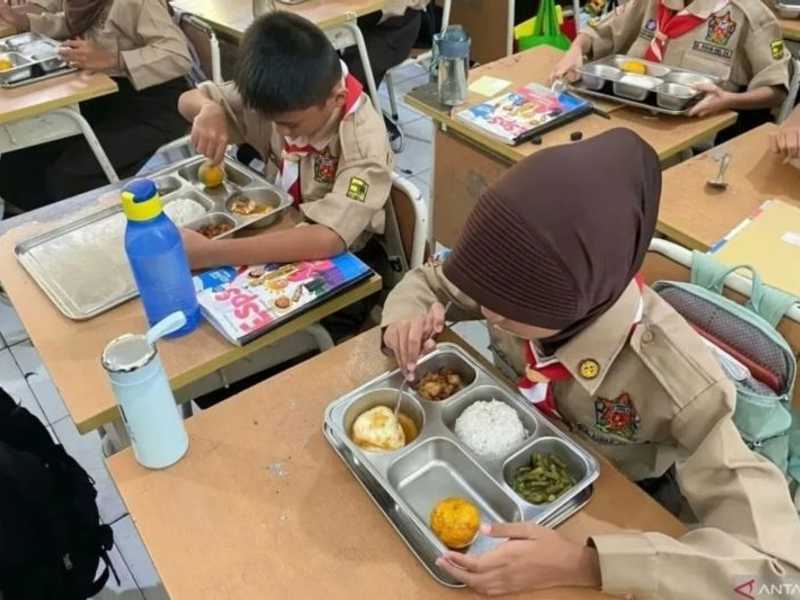 Search image article